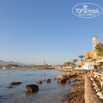 Pickalbatros Aqua Blu Resort - Sharm El Sheikh 4* Пляж. Вид с лестницы. - Фото отеля