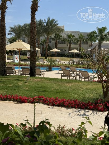 Фотографии отеля  Swissotel Sharm El Sheikh 5*