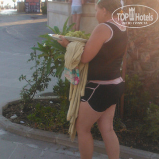 Фото отеля Sunset Beach Hotel 5*