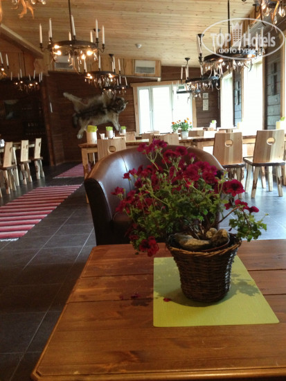 Фотографии отельера Wilderness Hotel Nellim 3*