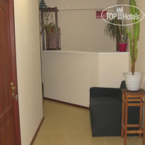 Mini Hostel 