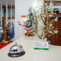 Oasis Hostel