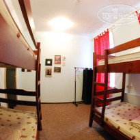 Open Hostel Цитрус 