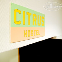 Open Hostel Цитрус 