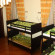 Green Mango Hostel 