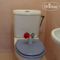 Goldfish Hostel 