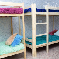 Camel Hostel