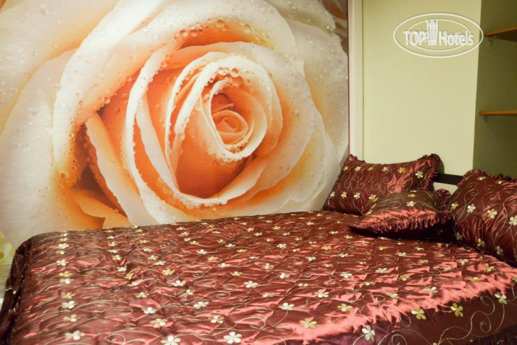 New photos from tourists Prime Hostel