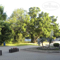 Полина 