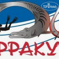 Барракуда 