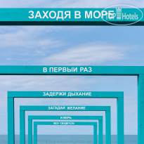 Грейс Эдем
