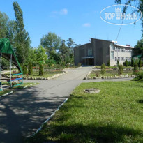 Дорожник 