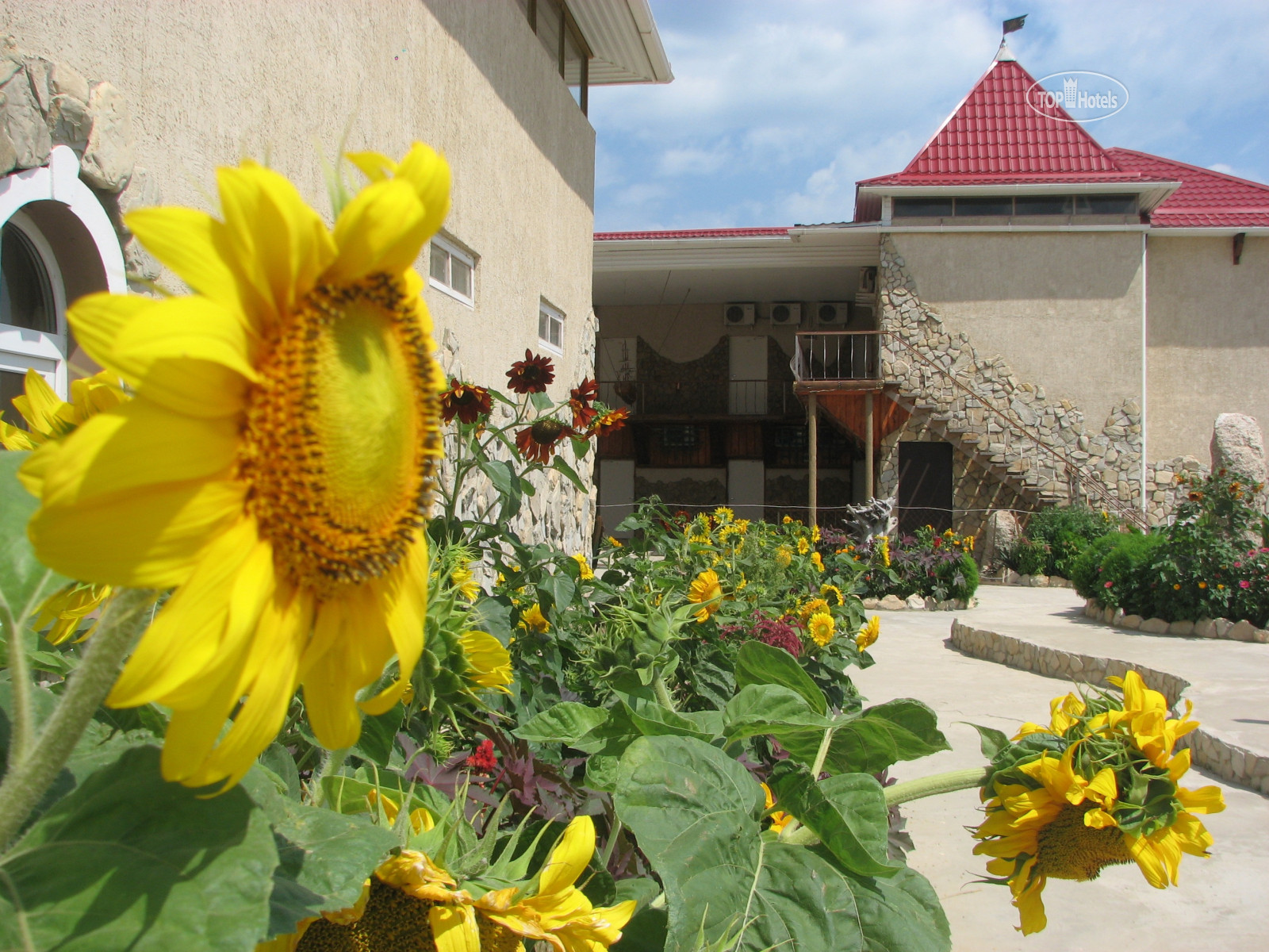 Подсолнух village адлер. Гостевой дом подсолнух ильич. Гостевой дом подсолнух ильич. Гостевой дом жемчуг вилладж адлер. Подсолнух адлер.
