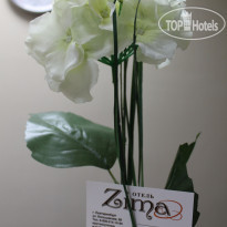 ЗИМА (ZIMA)