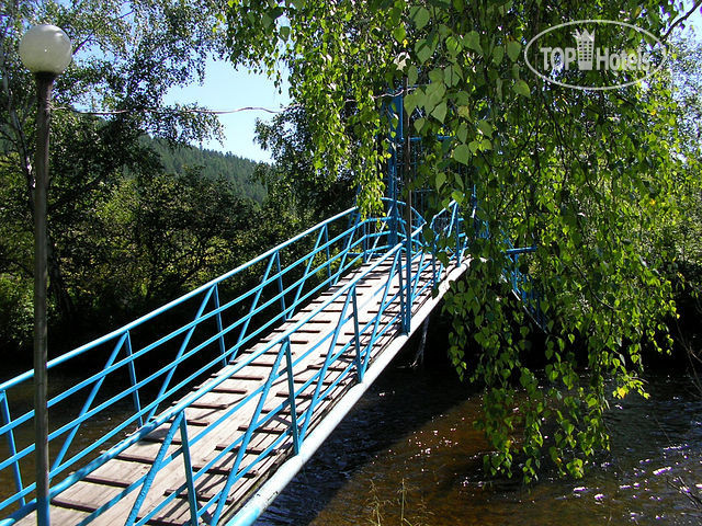 Голубые ели турбаза иркутск фото