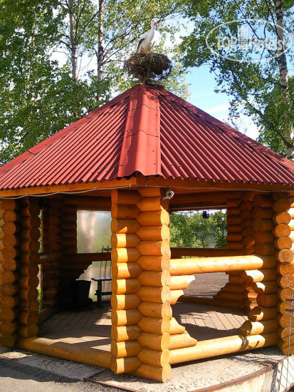 Новые добавленные фото туристов Кузова