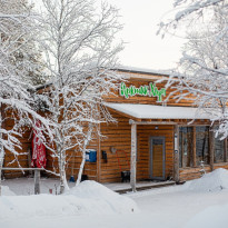 Arctic Home 