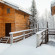 Arctic Home 