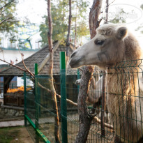Царицынская Слобода 