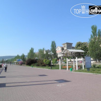 Три сосны Центральная набережная Феодоси