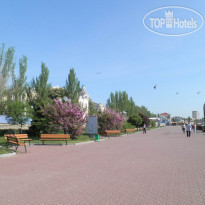 Три сосны Центральная набережная Феодоси