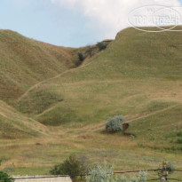 Алмарис  