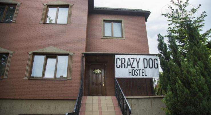 Фотографии отеля  Crazy Dog Hostel 