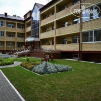 Красная гвоздика 