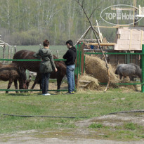 Политотдел 