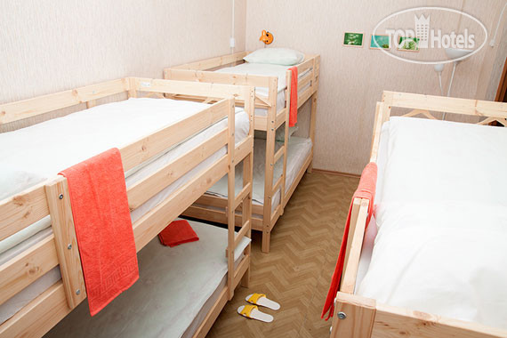 Новые добавленные фото туристов Йошкин Кот