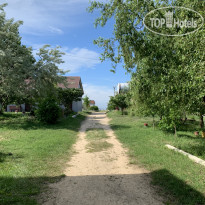 Колос