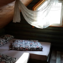 Барские сосны