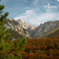 Forrest Terrace Hotel 