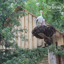 Полет 