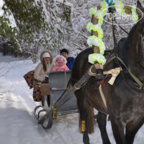 Олимп Event-комплекс 