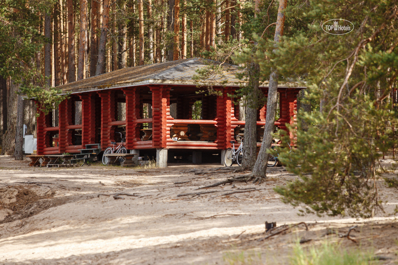 Green village база отдыха в ленобласти. Green Village Лосево. Грин Виллидж Green Village. Грин Виладж база отдыха Лосево. Грин Вилладж беседка.