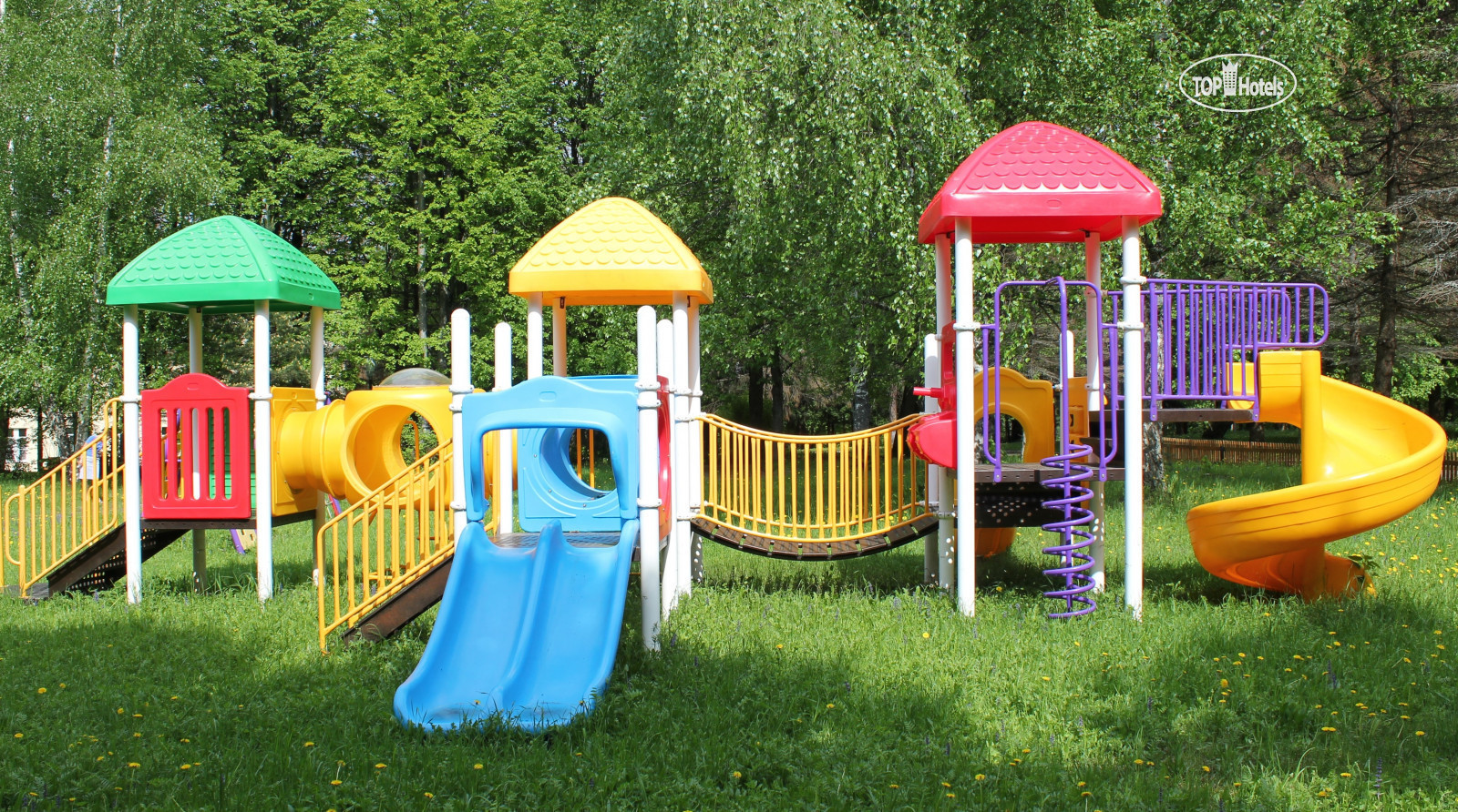 лесное озеро солнечногорск. учебно-оздоровительный комплекс лесное озеро. лесное озеро пансионат солнечногорск. зеленоград 619. уок лесное озеро финансового университета.