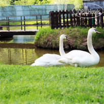 Park Hotel ZVENIGOROD (Парк отель Звенигород) 