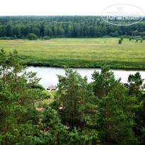 Гнездо