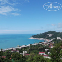 Hostel Sochi (Hostel Hosta) 