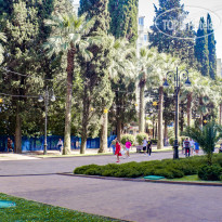 Mirror Residence