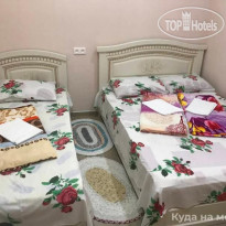 Киви и Цитрус 