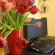 Red House Hostel 