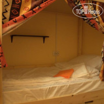 Suricata Hostel 