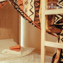 Suricata Hostel 