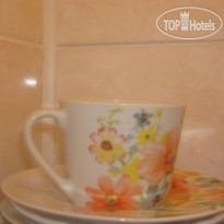 Aster Mini Hotel 