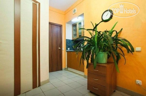 Новые добавленные фото туристов Zebra Hostel