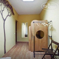 Zebra Hostel