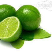 Lime Hostel 
