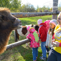 Дачный Клуб Коприно В зоопарке